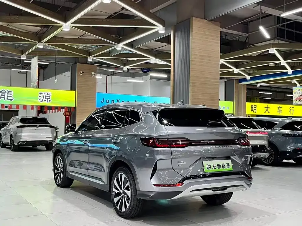 BYD PLUS New Energy — фото 10