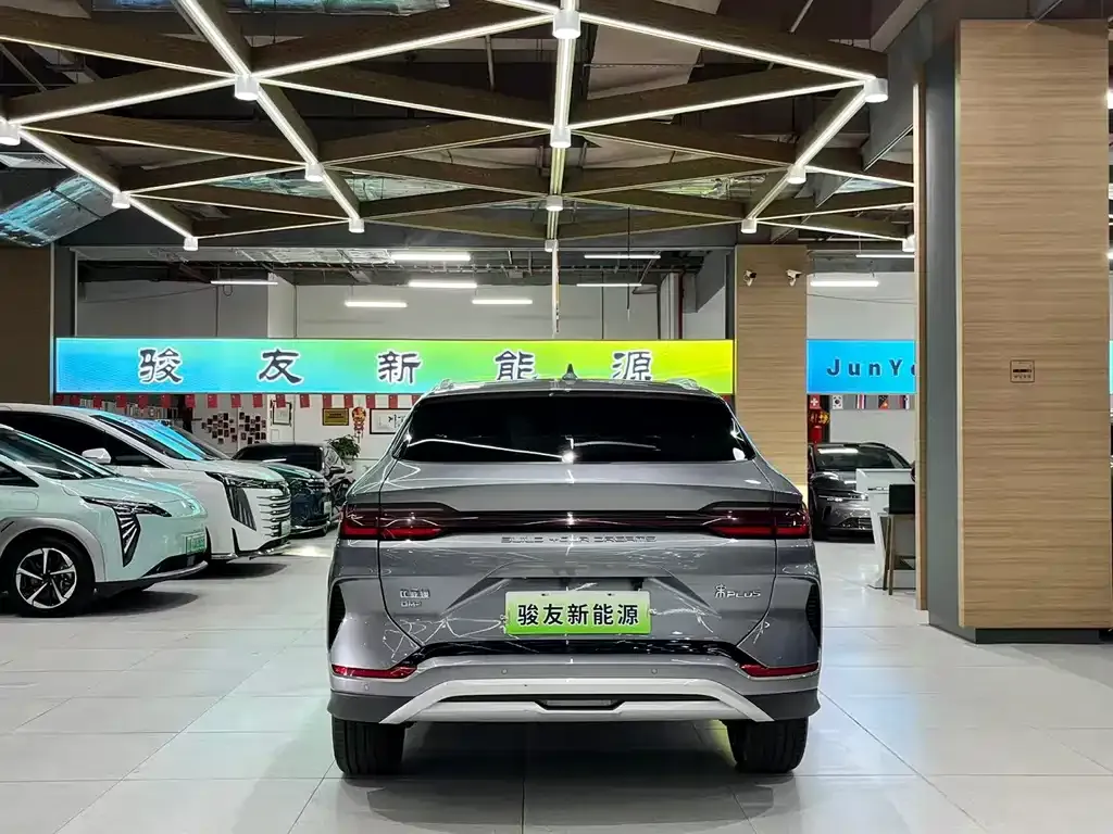 BYD PLUS New Energy — фото 3