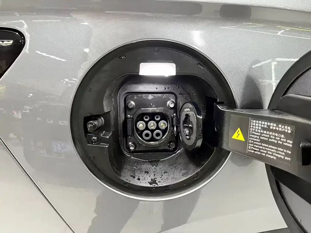 BYD PLUS New Energy — фото 4