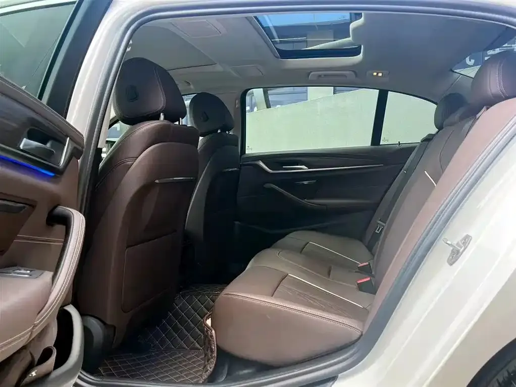 BMW 5 Series 2021 из CN, фото 6