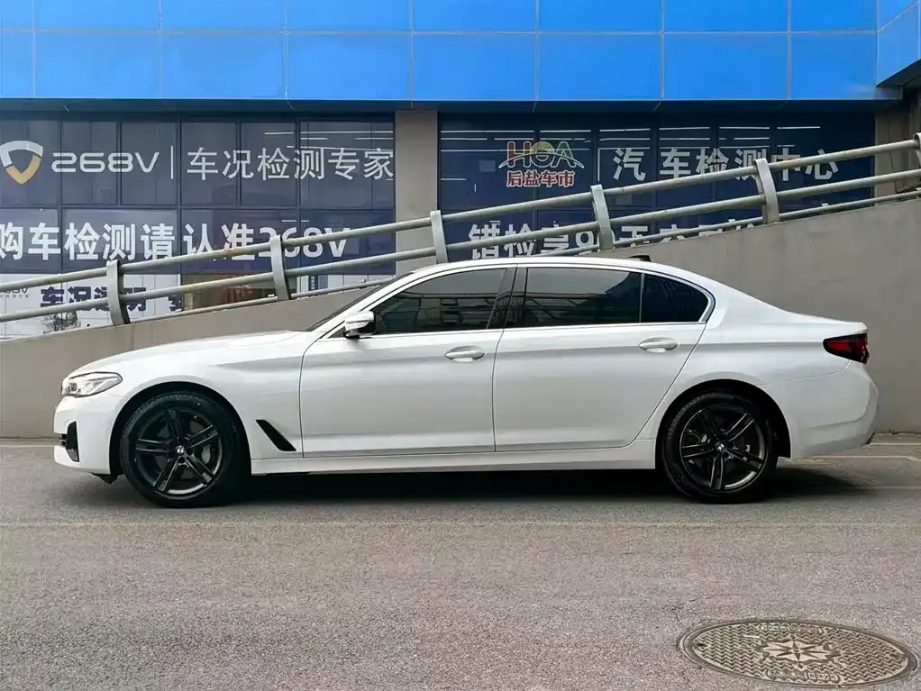 BMW 5 Series 2021 из CN, фото 4