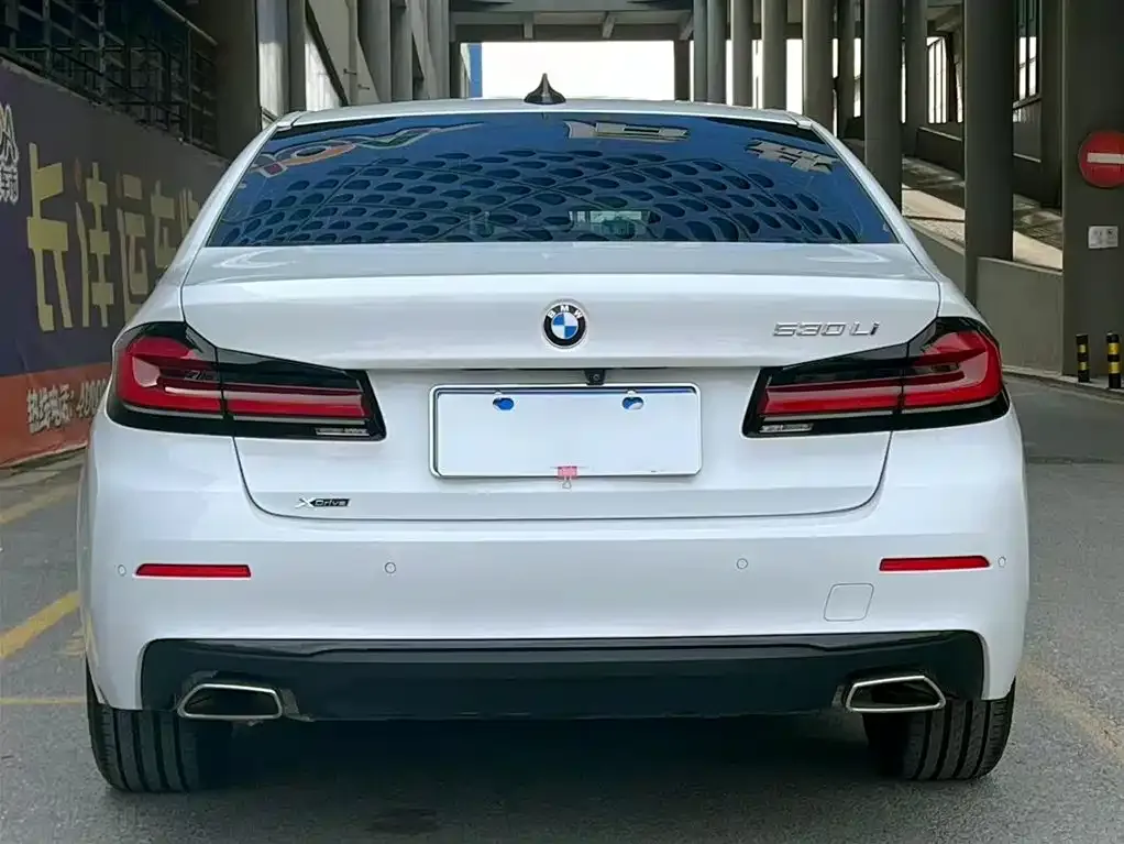 BMW 5 Series 2021 из CN, фото 7