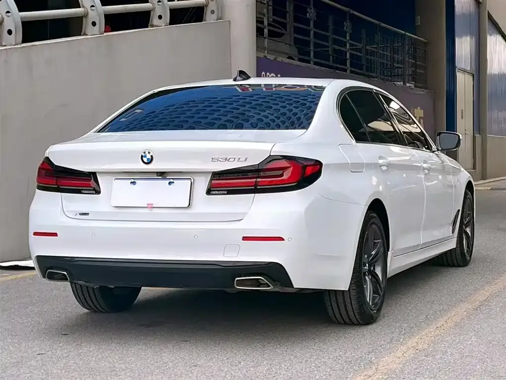 BMW 5 Series 2021 из CN, фото 10