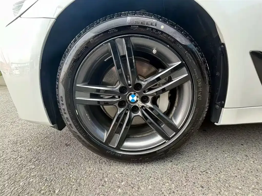 BMW 5 Series 2021 из CN, фото 8