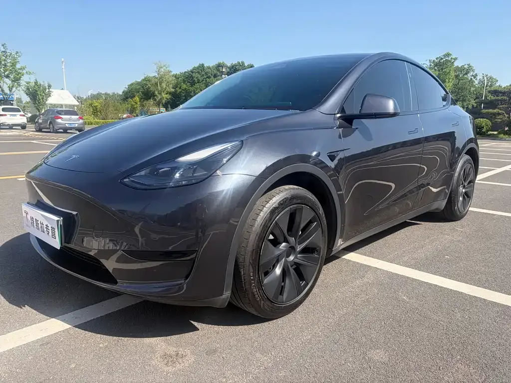 Tesla Model Y — фото 1