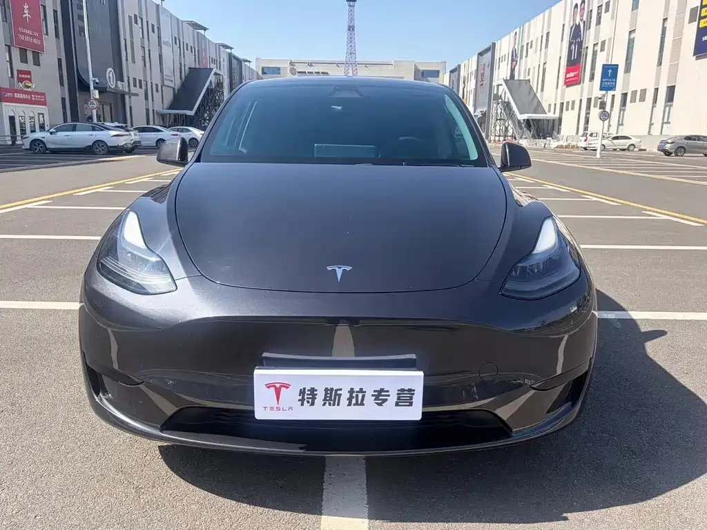Tesla Model Y — фото 4