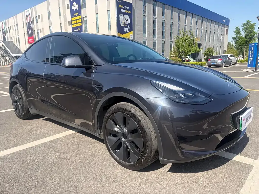 Tesla Model Y — фото 10