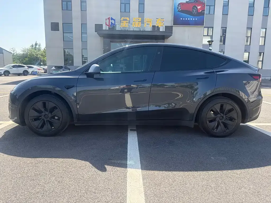 Tesla Model Y — фото 8