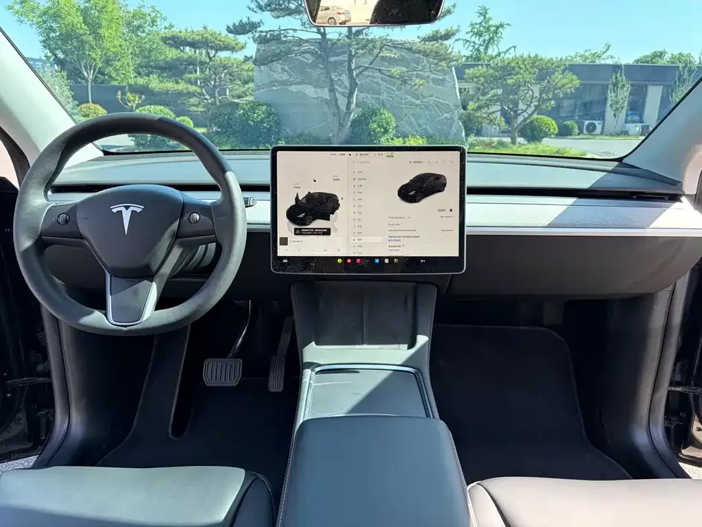 Tesla Model Y — фото 6
