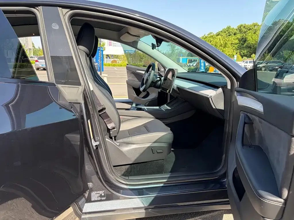 Tesla Model Y — фото 2