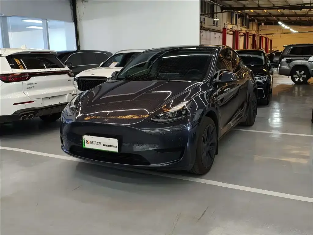 Tesla Model Y — фото 1