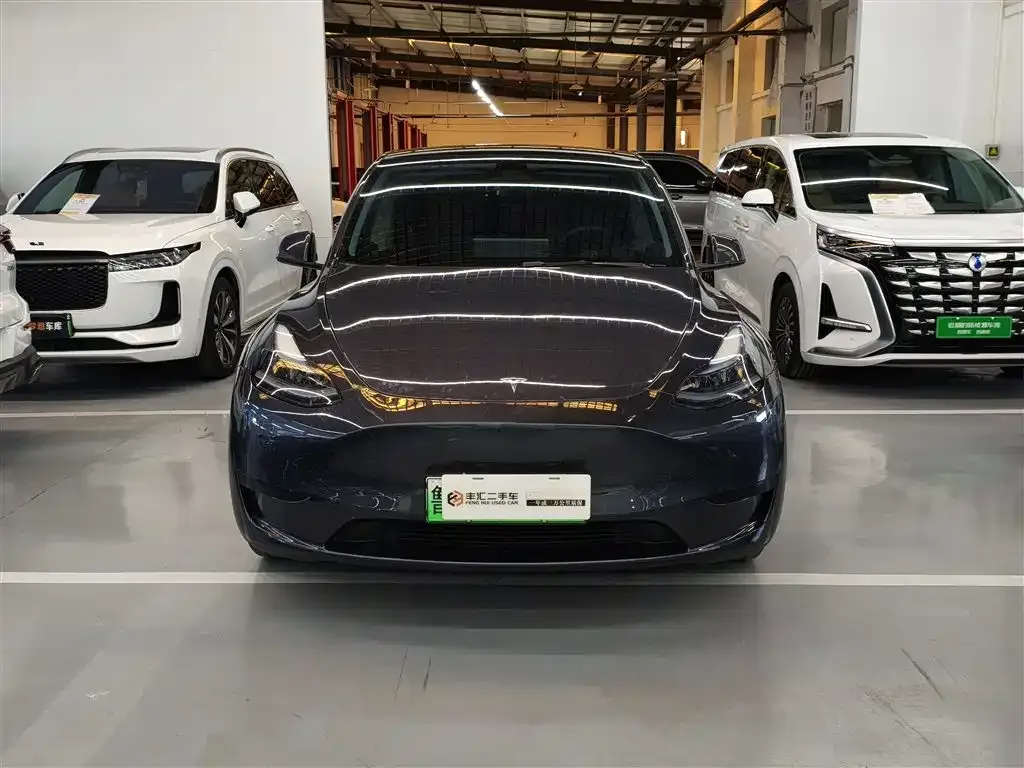 Tesla Model Y — фото 3
