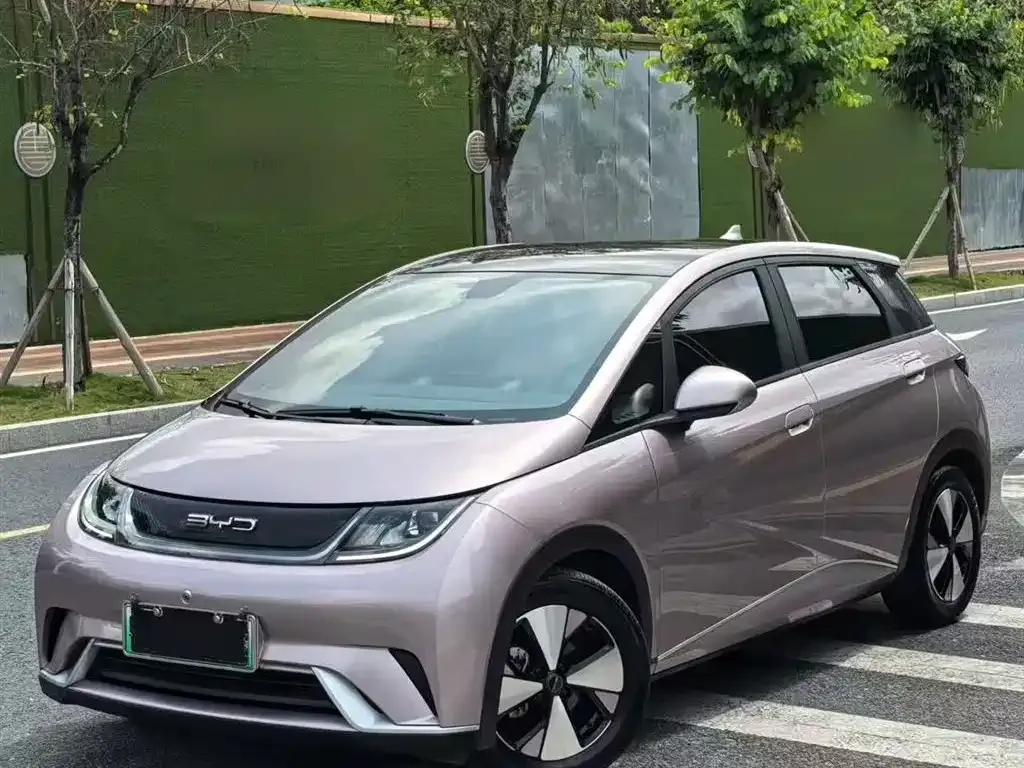 BYD Dolphin