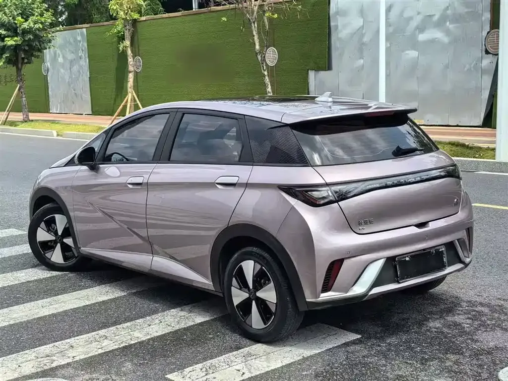 BYD Dolphin 2023 из CN, фото 7
