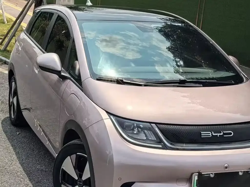 BYD Dolphin 2023 из CN, фото 10