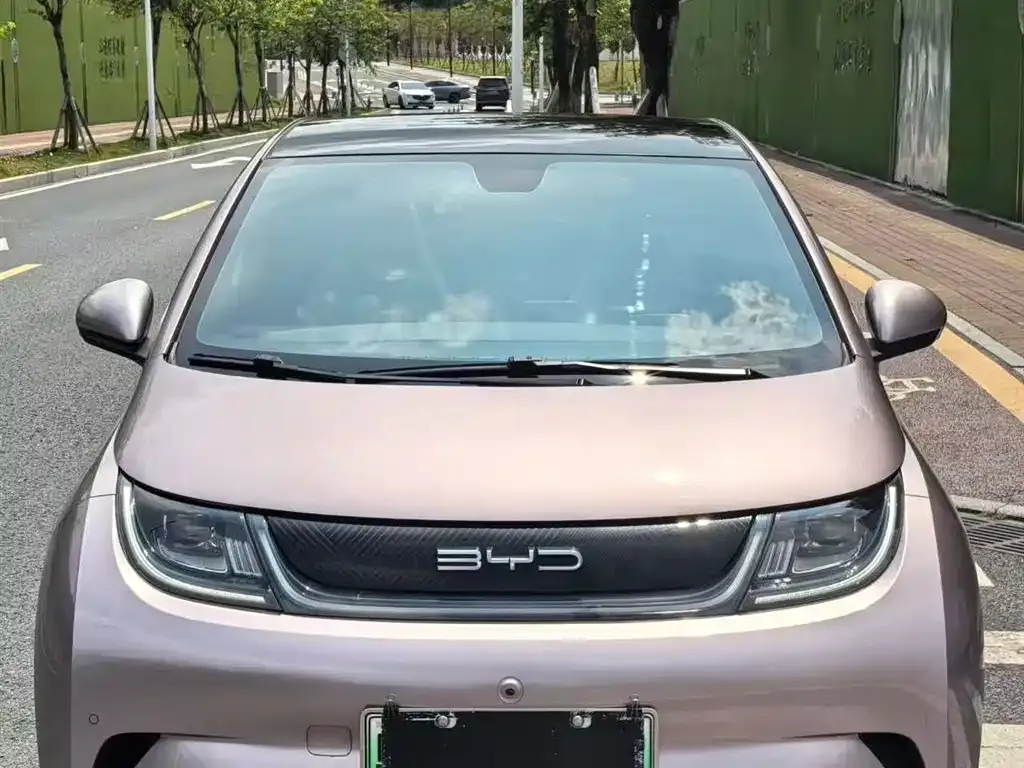 BYD Dolphin 2023 из CN, фото 6