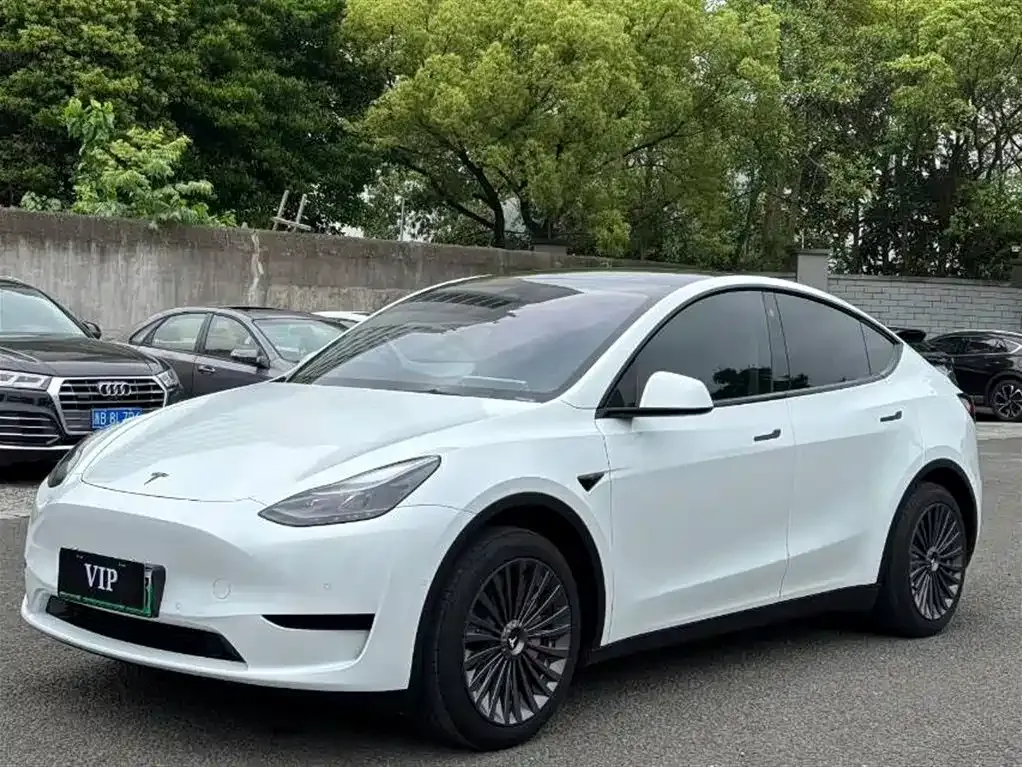 Tesla Model Y — фото 1