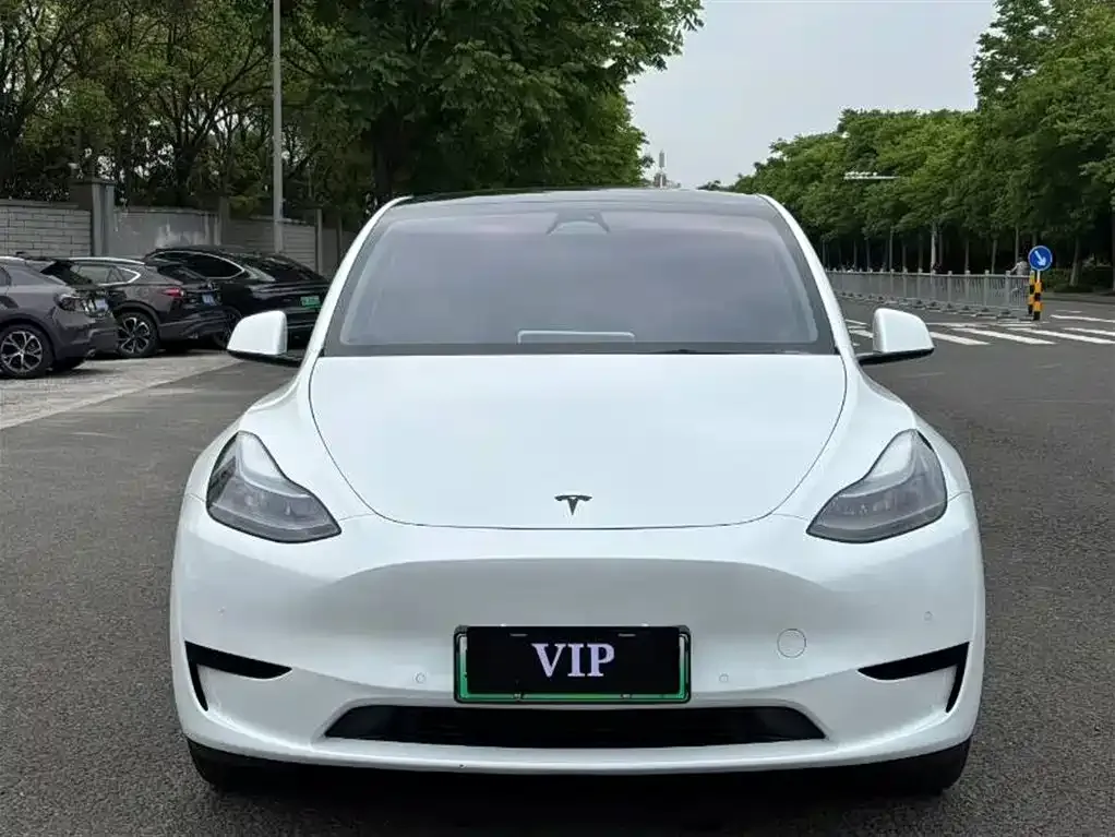 Tesla Model Y — фото 2