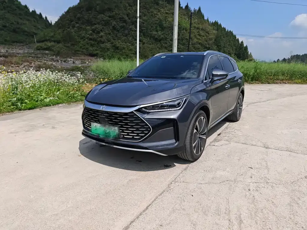 BYD Tang New Energy — фото 1