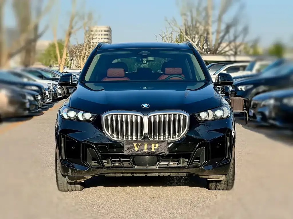 BMW X5 — фото 10