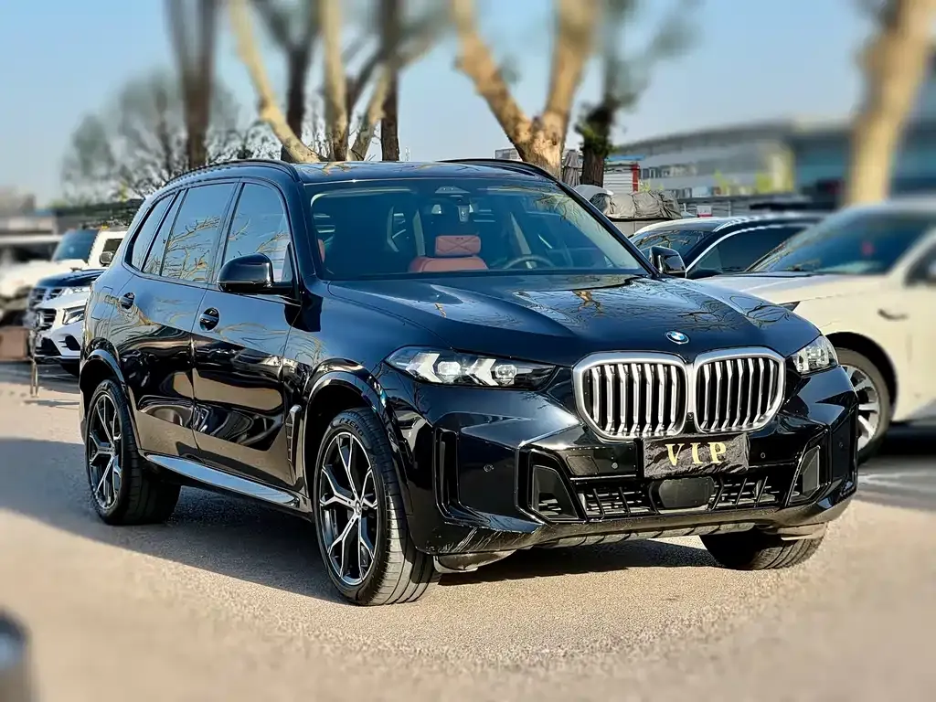 BMW X5 — фото 8