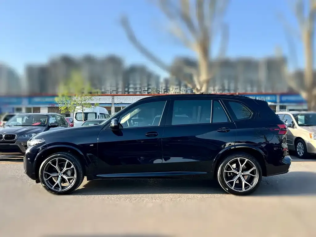 BMW X5 — фото 5