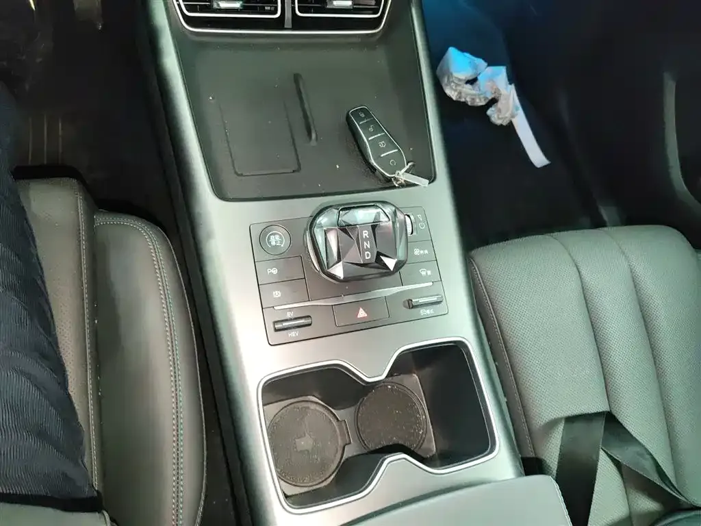 BYD Pro New Energy 2025 из CN, фото 9