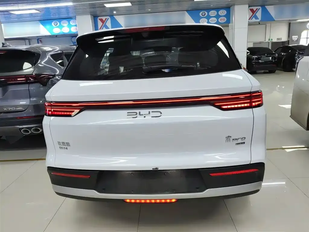 BYD Pro New Energy 2025 из CN, фото 6