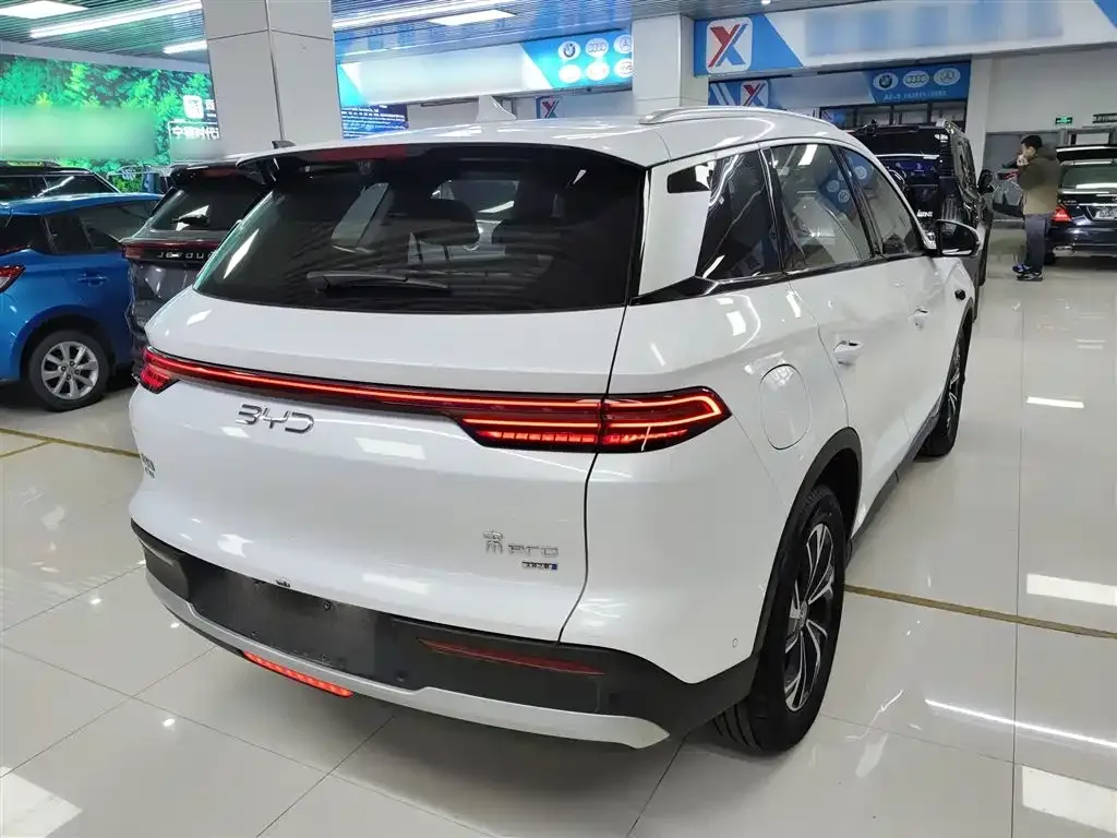 BYD Pro New Energy 2025 из CN, фото 10