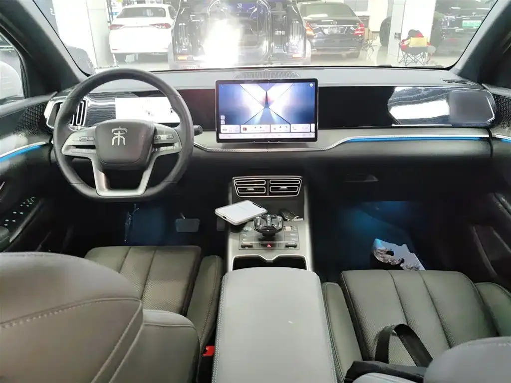 BYD Pro New Energy 2025 из CN, фото 8