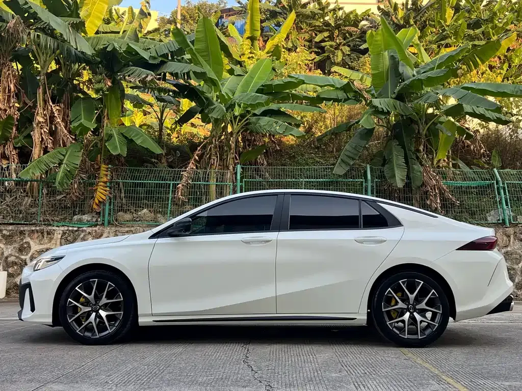 GAC Motor Shadow Leopard — фото 7