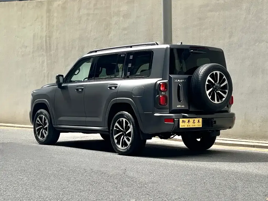 Haval H9 2024 из CN, фото 6