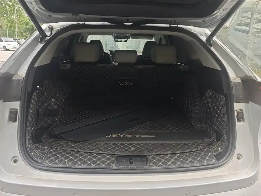 Wey Mocha — фото 3