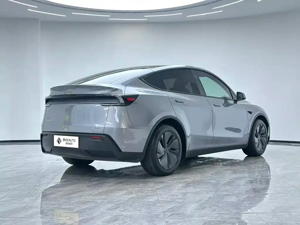Tesla Model Y — фото 10
