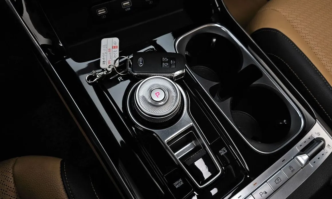 Kia Carnival 2021 из KR, фото 5