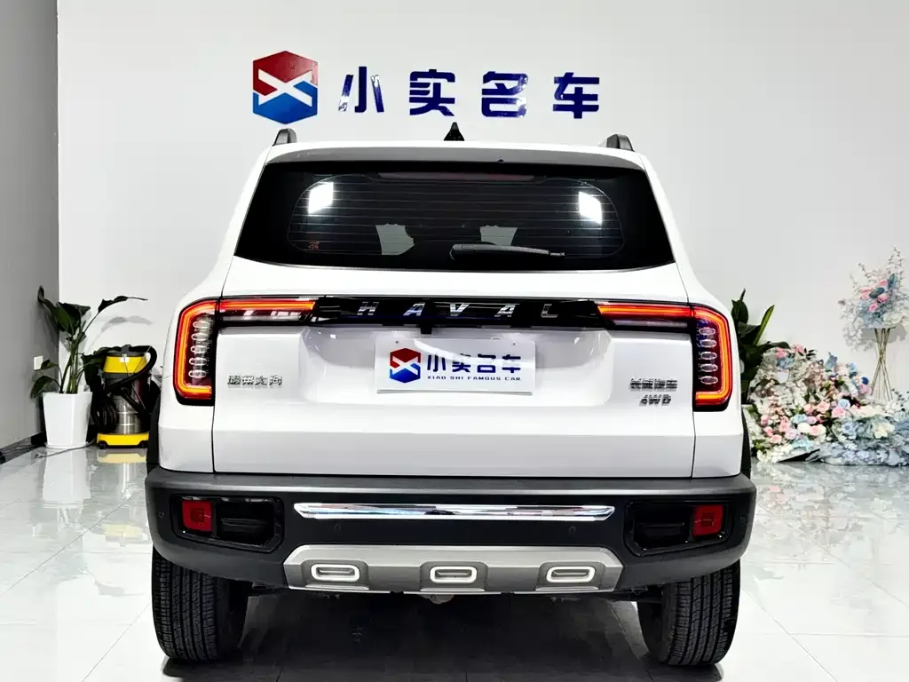 Haval Big Dog — фото 7