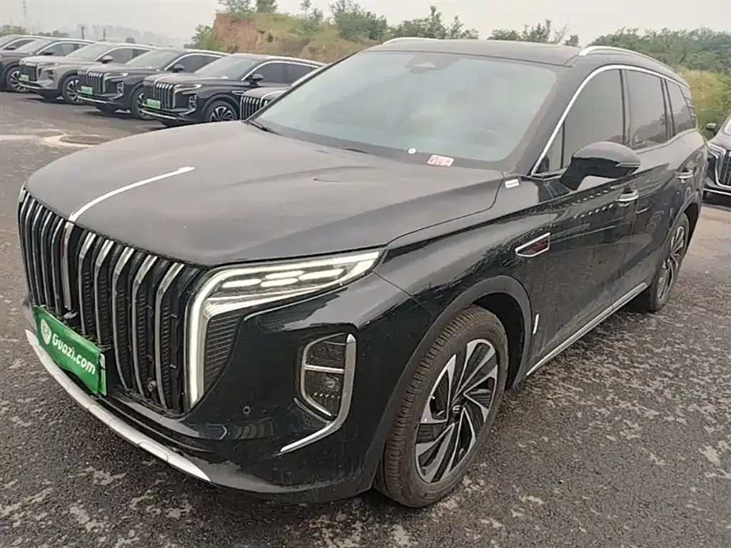 Hongqi HS7 PHEV — фото 10