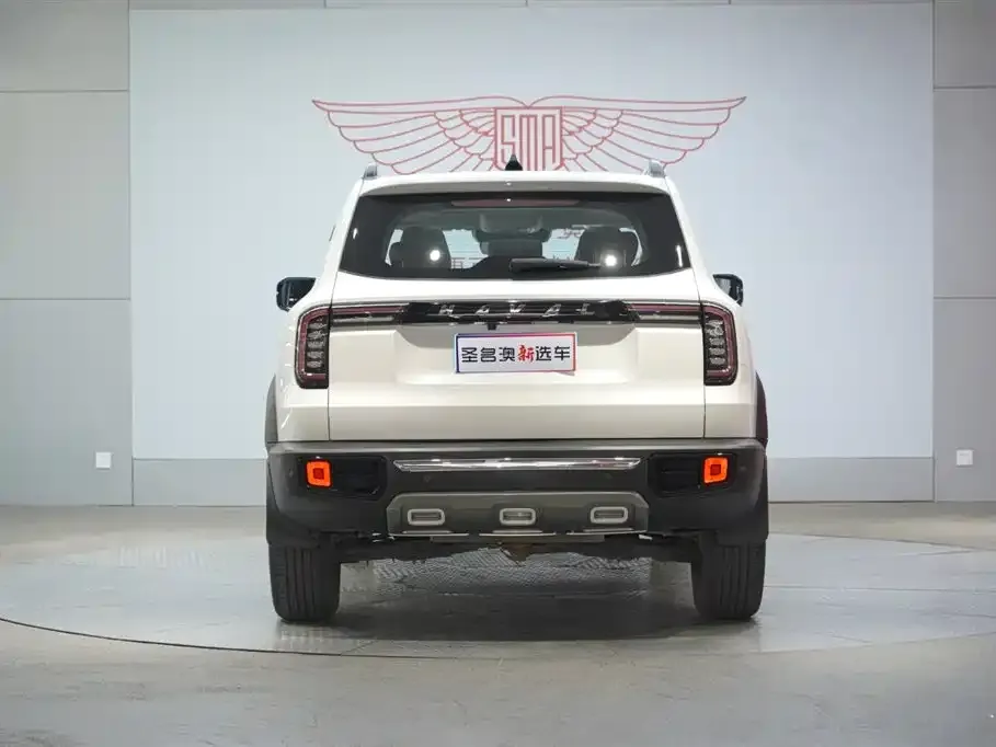 Haval Big Dog — фото 7
