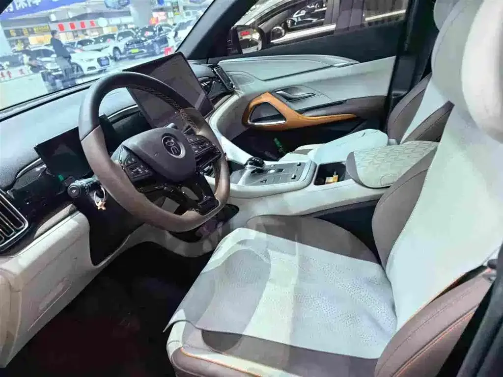 BYD Pro New Energy — фото 3
