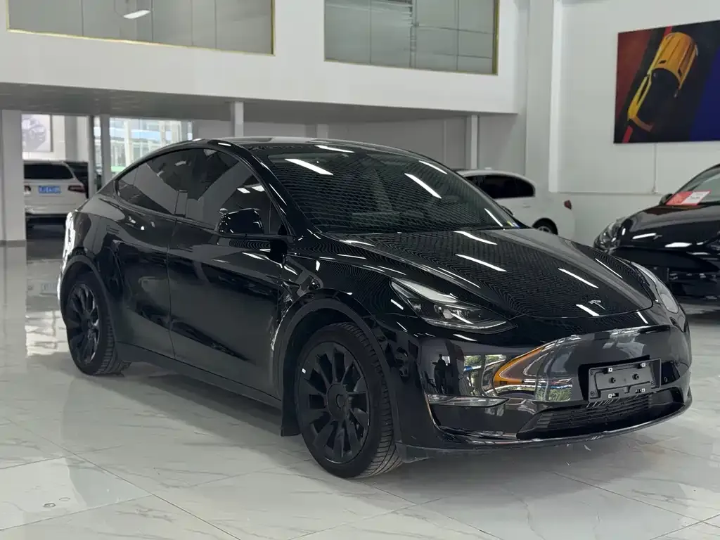 Tesla Model Y — фото 8