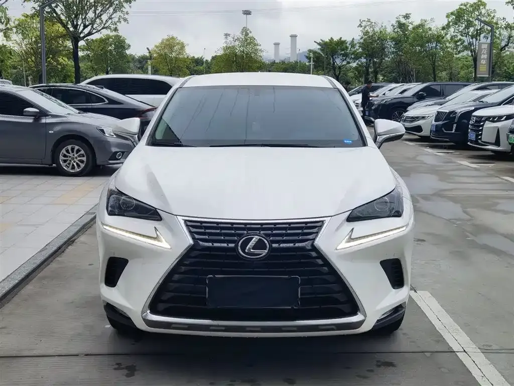 Lexus NX 2021 из CN, фото 3