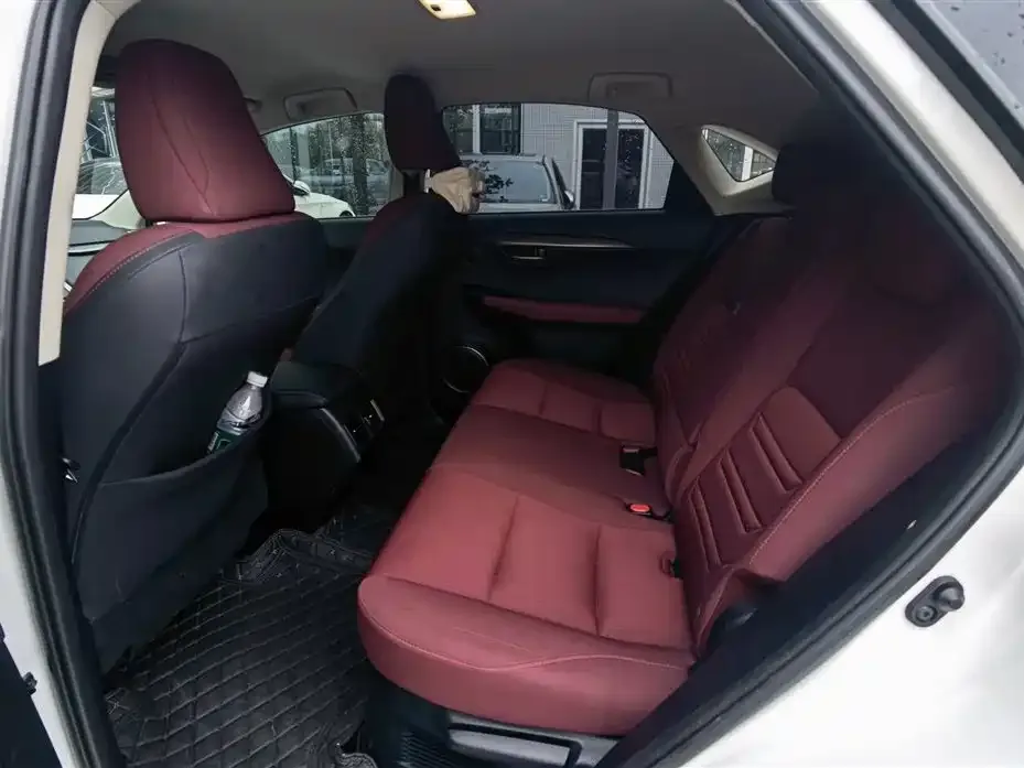 Lexus NX 2021 из CN, фото 2