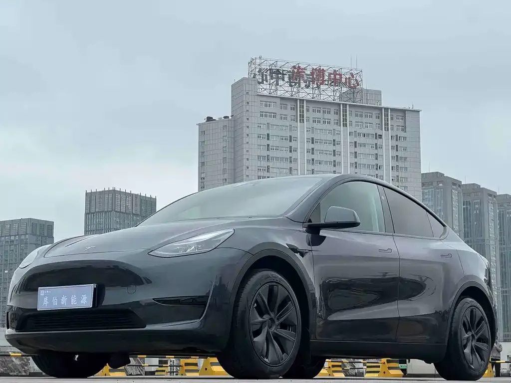 Tesla Model Y — фото 1