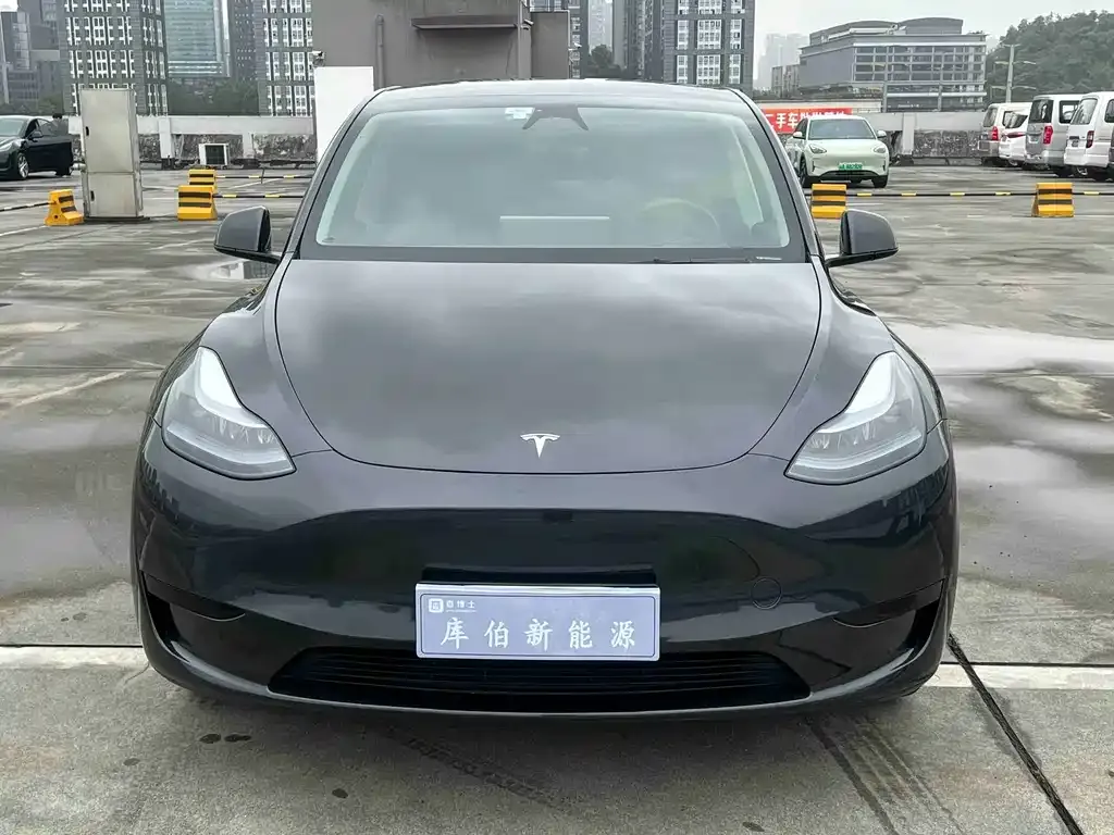 Tesla Model Y — фото 10