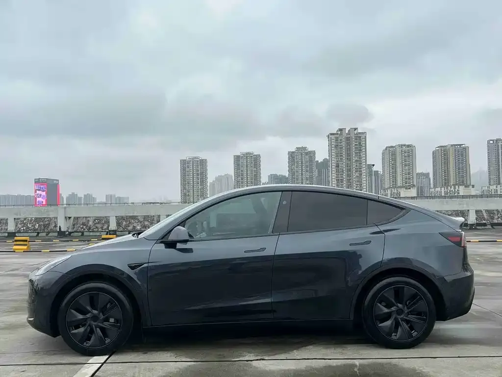 Tesla Model Y — фото 3