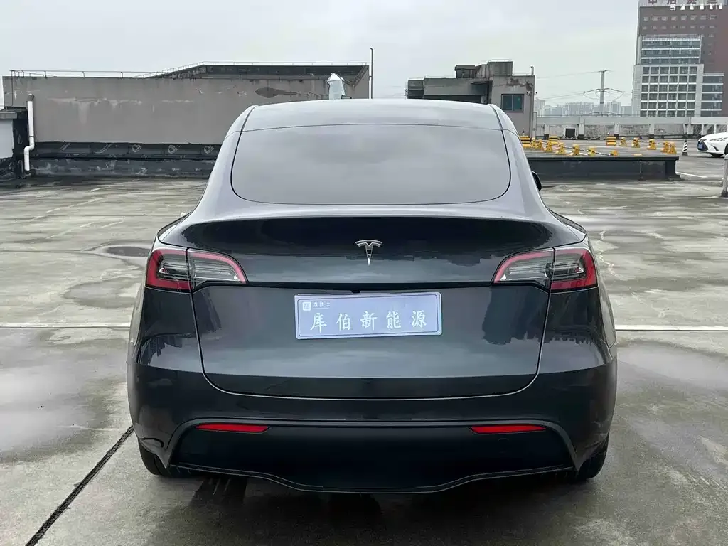 Tesla Model Y — фото 6