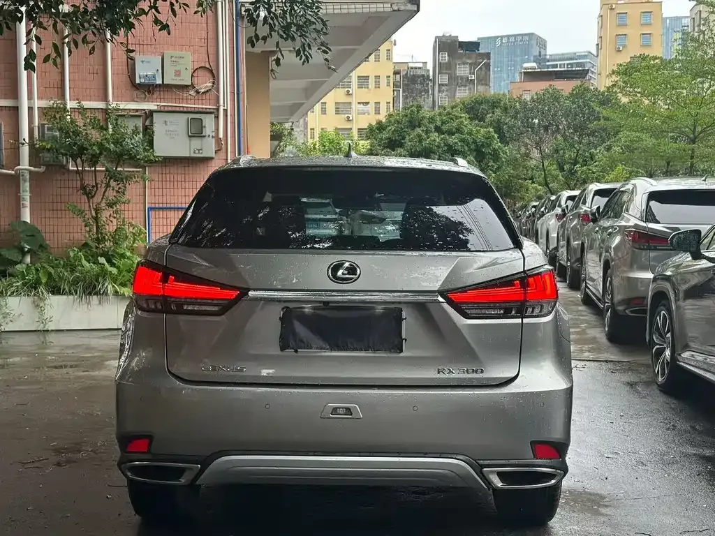 Lexus RX — фото 9