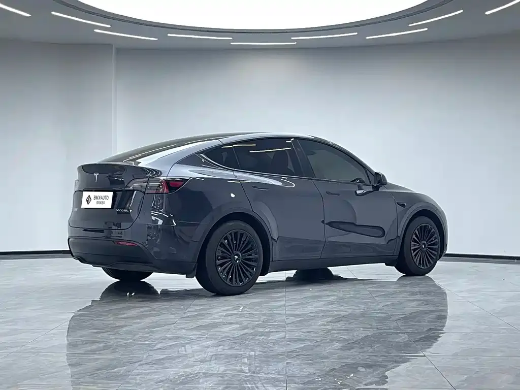 Tesla Model Y — фото 8