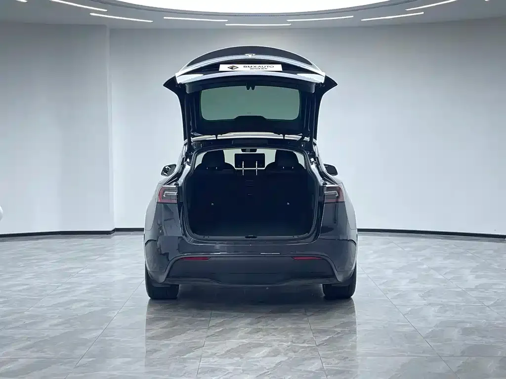 Tesla Model Y — фото 5