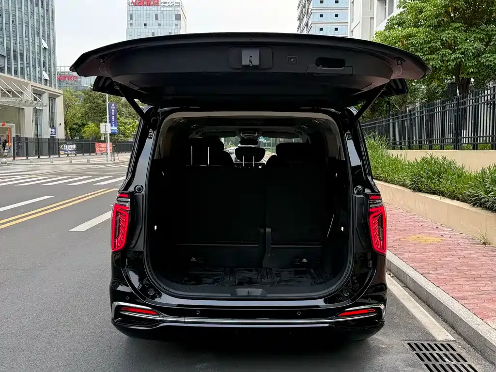 Hongqi HQ9 2023 из CN, фото 4